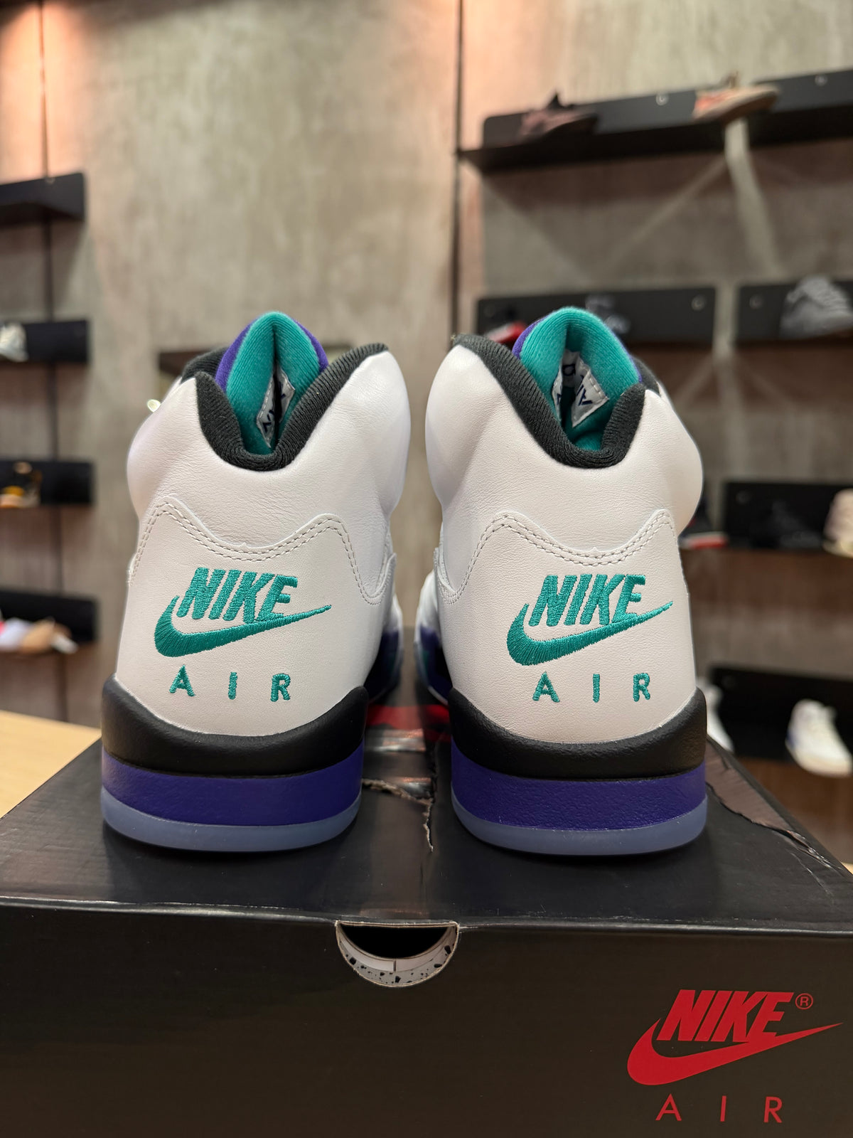 JORDAN 5 GRAPE