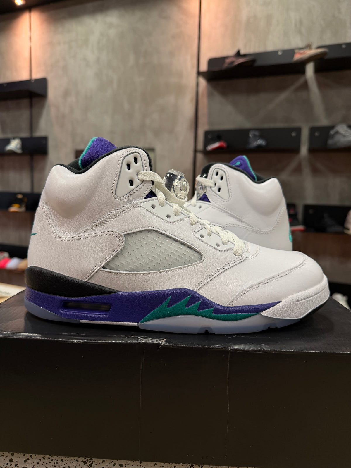 JORDAN 5 GRAPE