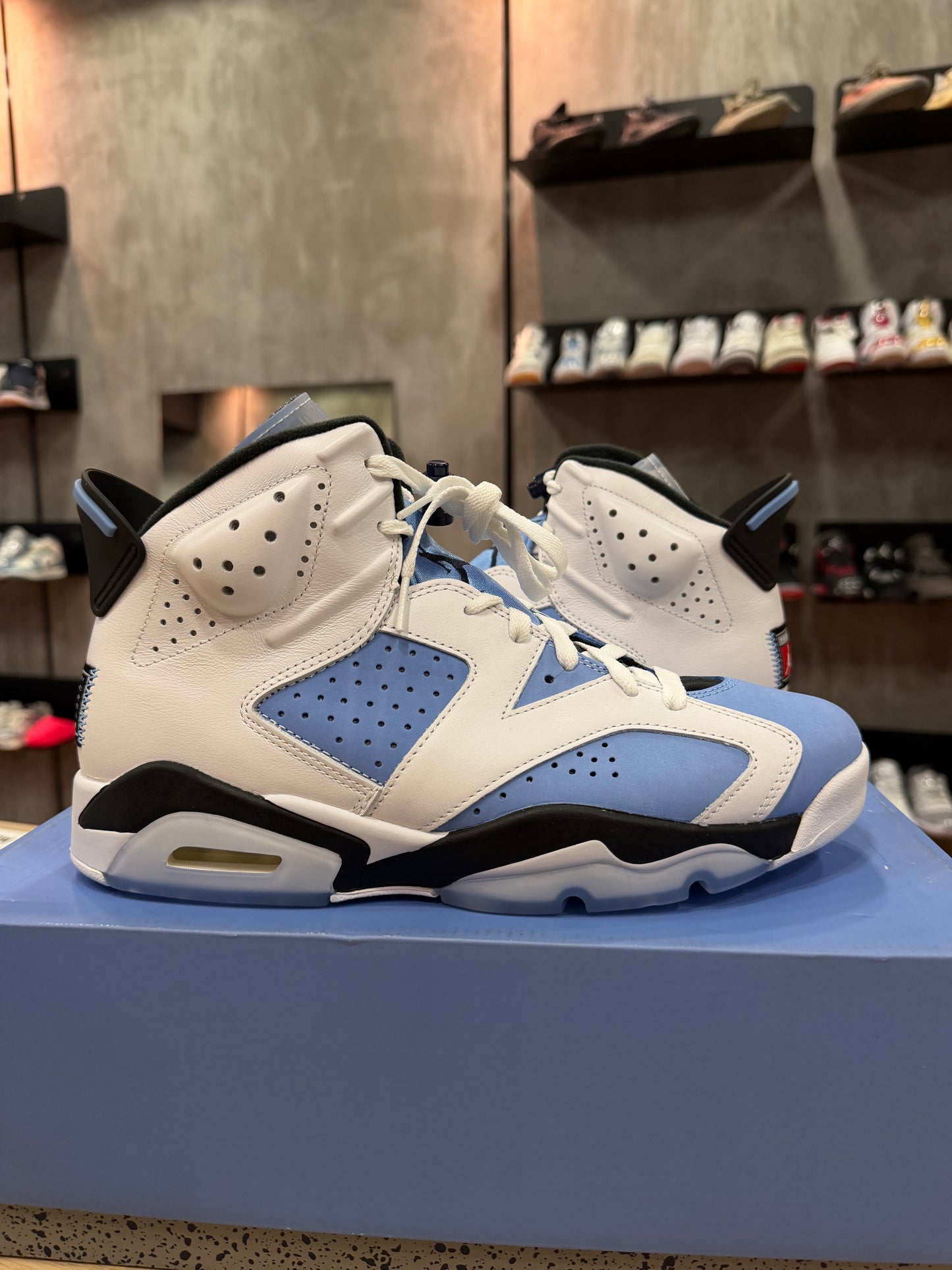 JORDAN 6 UNC